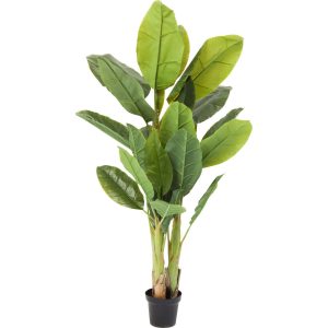 Kare Design Kunstplanten – bananenboom – 180cm
