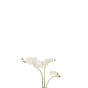 J-Line plant Orchidee In Aarde – kunststof – wit/groen – medium J-Line plant Orchidee In Aarde – kunststof – wit/groen – medium