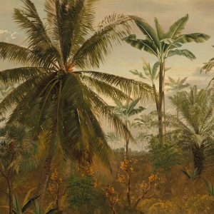 LOOKS by Wolfgang Joop Fotobehang – Jungle Ochtendzon – 270x350cm LOOKS by Wolfgang Joop Fotobehang – Jungle Ochtendzon – 270x350cm
