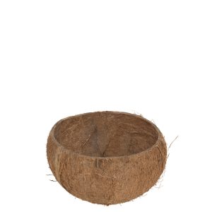 J-Line bol Halve Kokosnoot Brut – bamboe – naturel – 2 stuks J-Line bol Halve Kokosnoot Brut – bamboe – naturel – 2 stuks