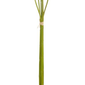 J-Line plant Bamboe – kunststof – groen – 6 stuks J-Line plant Bamboe – kunststof – groen – 6 stuks