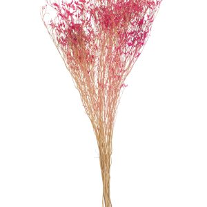 J-Line droogbloemen – Bundel Gedroogde Gypsophilia – riet – fuchsia –