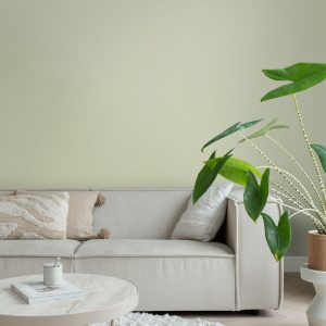 ESTAhome muurverf mat licht vergrijsd groen – 2 l / ca. 18 m² – 191020 ESTAhome muurverf mat licht vergrijsd groen – 2 l / ca. 18 m² – 191020