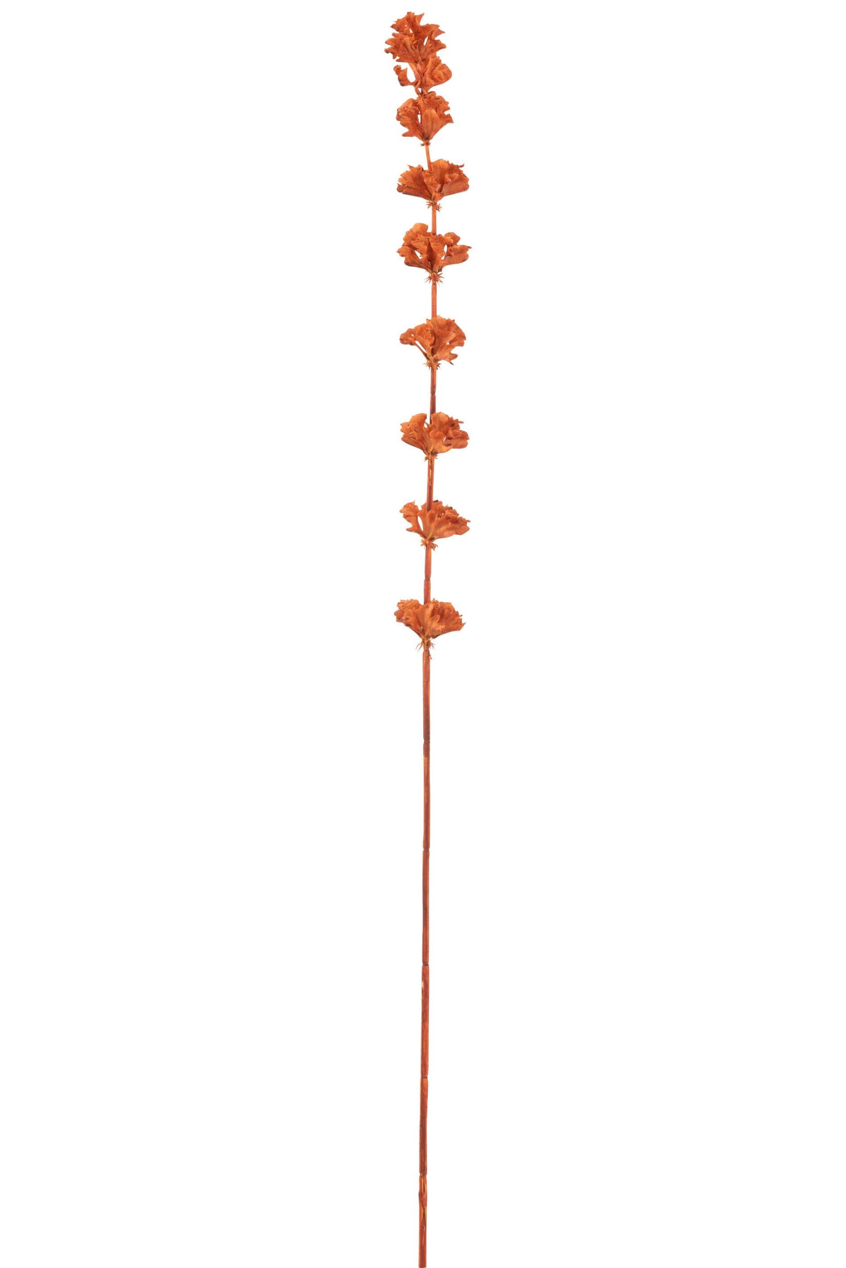 J-Line decoratie tak Klokken Van Ierland - kunststof - oranje - 12 stu