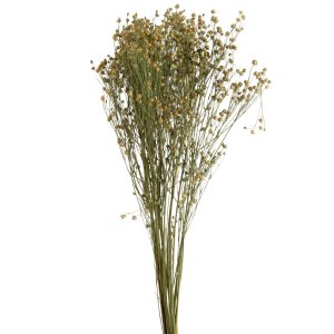 J-Line droogbloemen – Bundel Vlasbloem – gedroogd vlas – geel