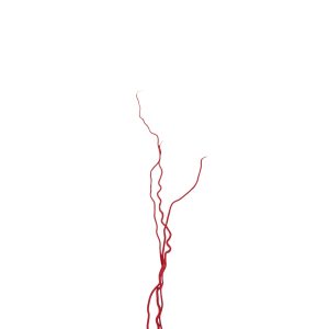 J-Line decoratie tak – riet – rood – medium – set van 3