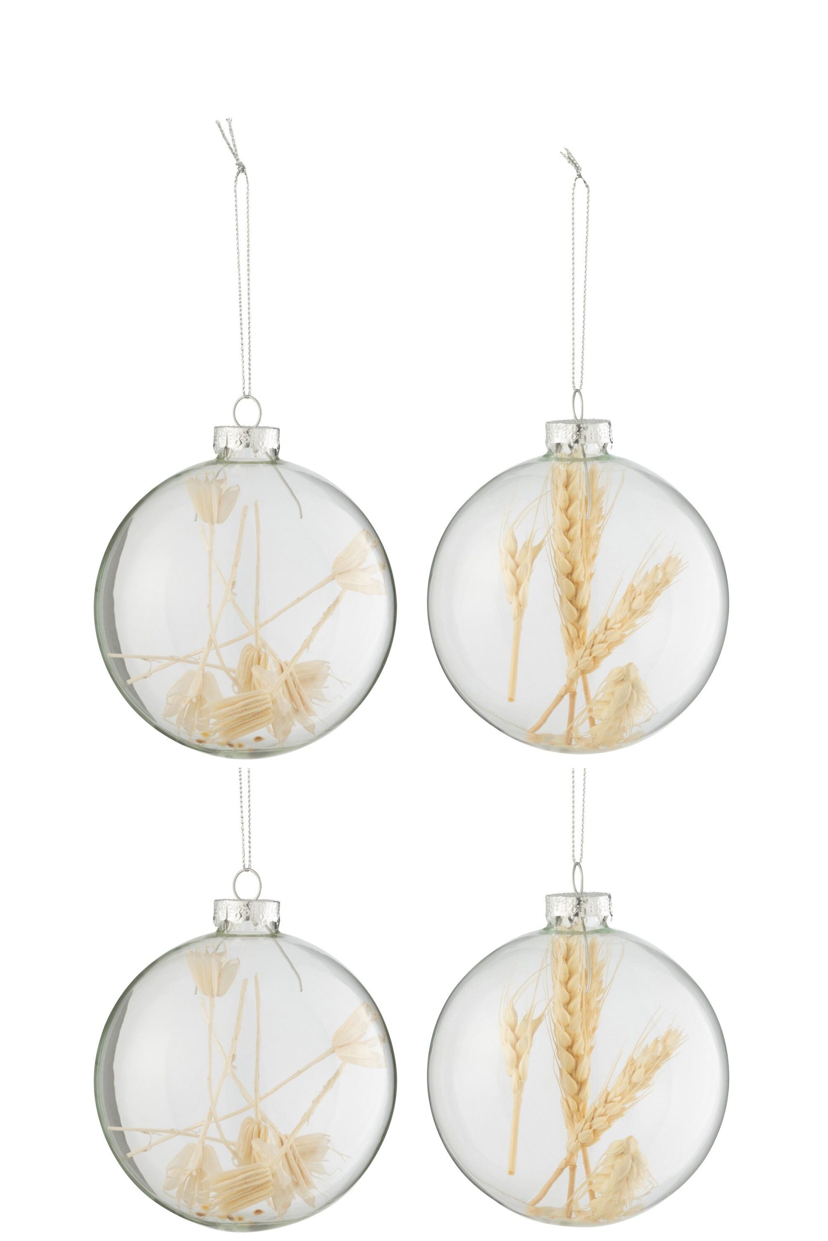 J-Line kerstbal Gedroogde Takjes - glas - transparant/beige - large -