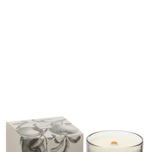 J-Line geurkaars Vijgen Bessen – Fig Bay Leaves – small – 50U