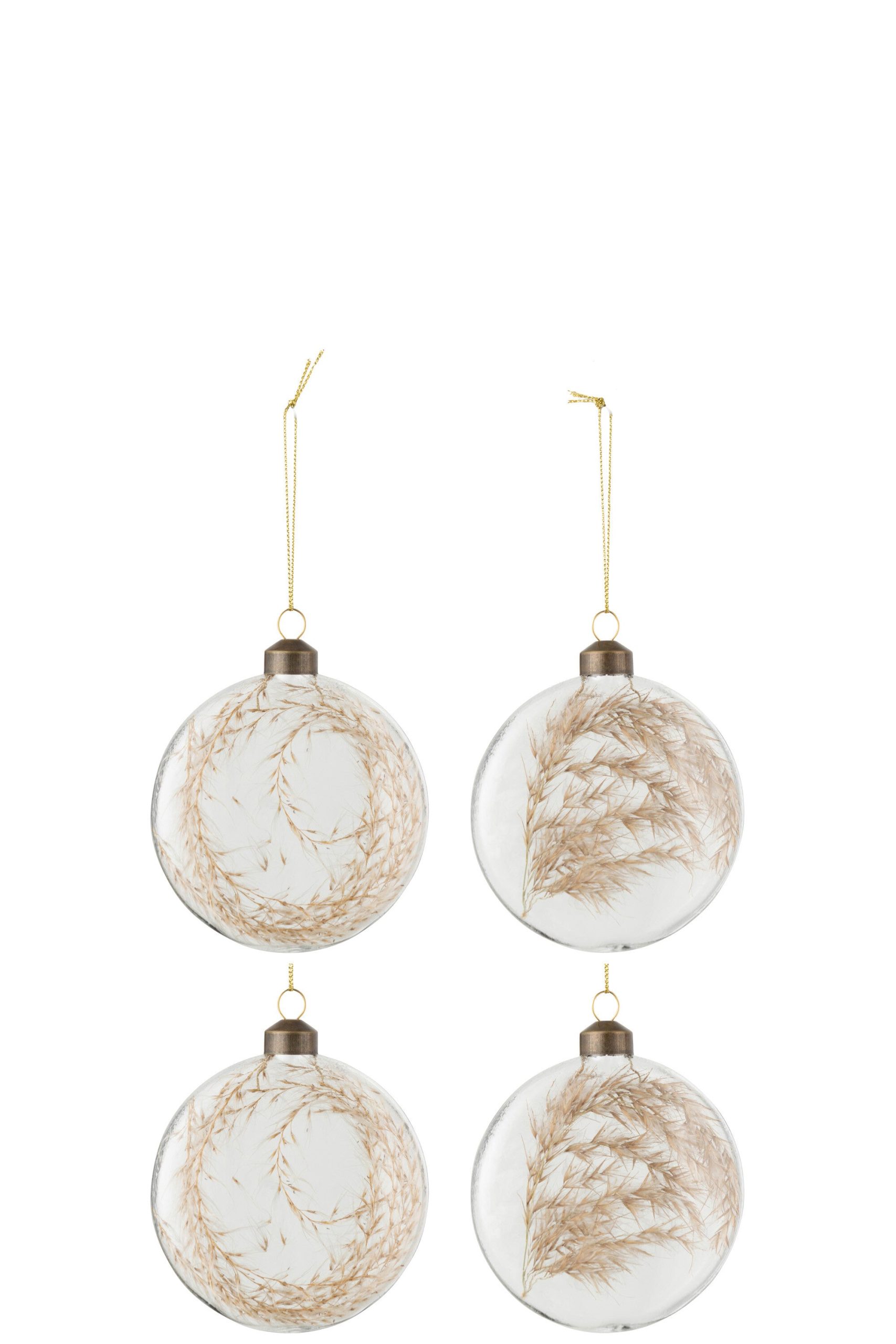 J-Line kerstbal Gedroogde Pampas - glas - transparant - medium - doos