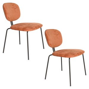 Housecraft Living Bouton Eetkamerstoelen Terra – Set van 2