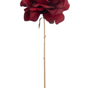 J-Line bloem Roos 1 Stengel – kunststof – rood/goud – large – 24 stuks J-Line bloem Roos 1 Stengel – kunststof – rood/goud – large – 24 stuks