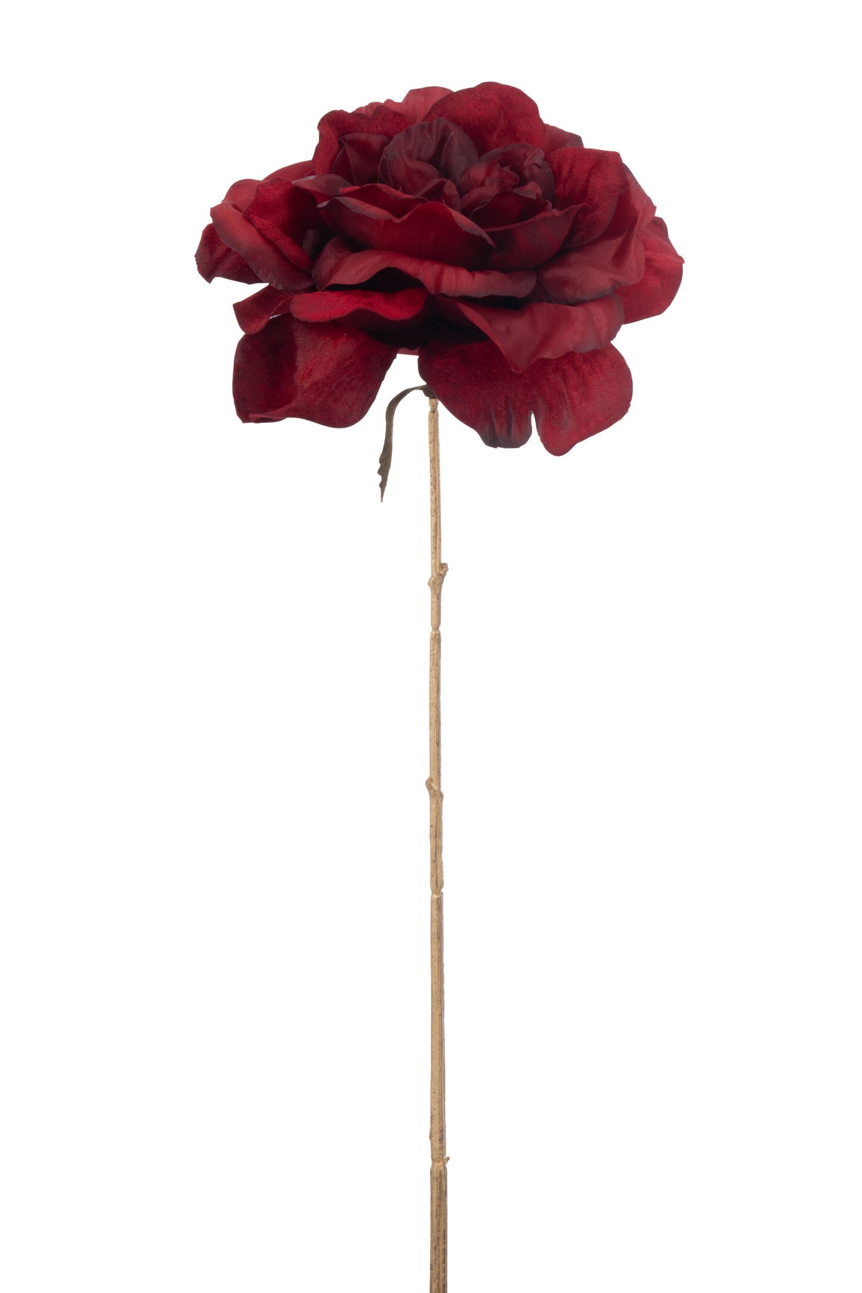J-Line bloem Roos 1 Stengel - kunststof - rood/goud - large - 24 stuks