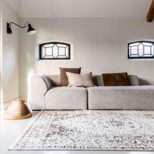 Interieur05 Vintage vloerkleed Arya bruin/beige – 275 x 185 cm