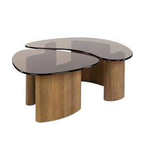 Giga Meubel Salontafel Tinto – Organisch Brons Glas – Set van 2 Giga Meubel Salontafel Tinto – Organisch Brons Glas – Set van 2