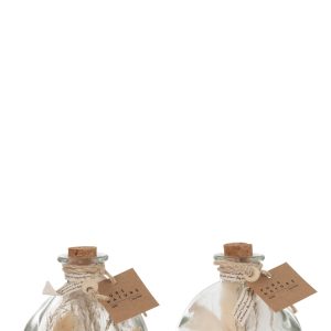 J-Line decoratie fles Gedroogde Bloemen – glas – naturel – small – 2 s
