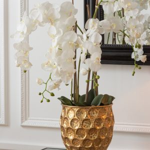 J-Line plant Orchidee In Aarde – kunststof – wit/groen – extra large J-Line plant Orchidee In Aarde – kunststof – wit/groen – extra large