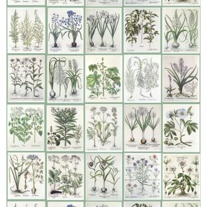ESTAhome XXL behang bladzijden botanisch bloemen en planten boek groen ESTAhome XXL behang bladzijden botanisch bloemen en planten boek groen