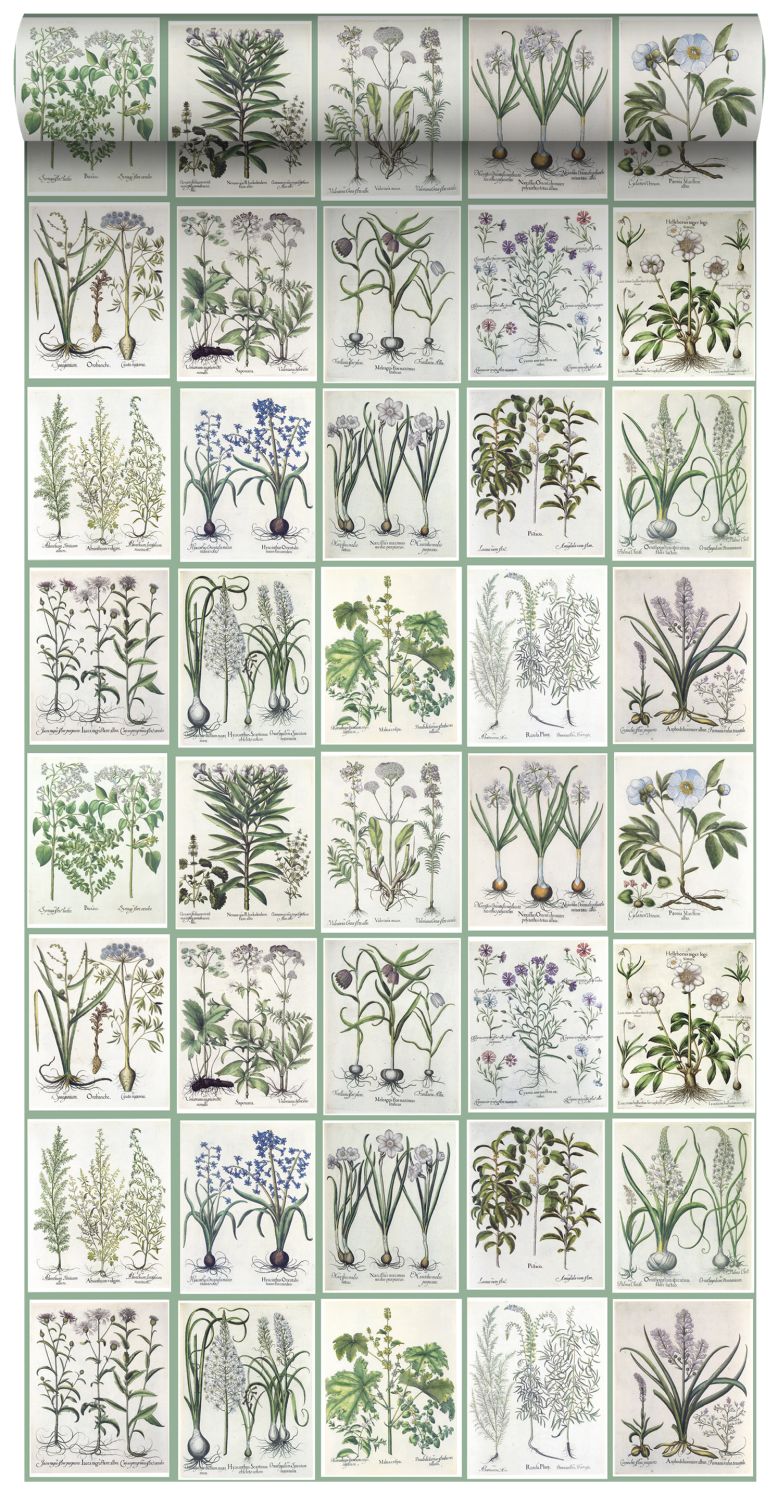 ESTAhome XXL behang bladzijden botanisch bloemen en planten boek groen