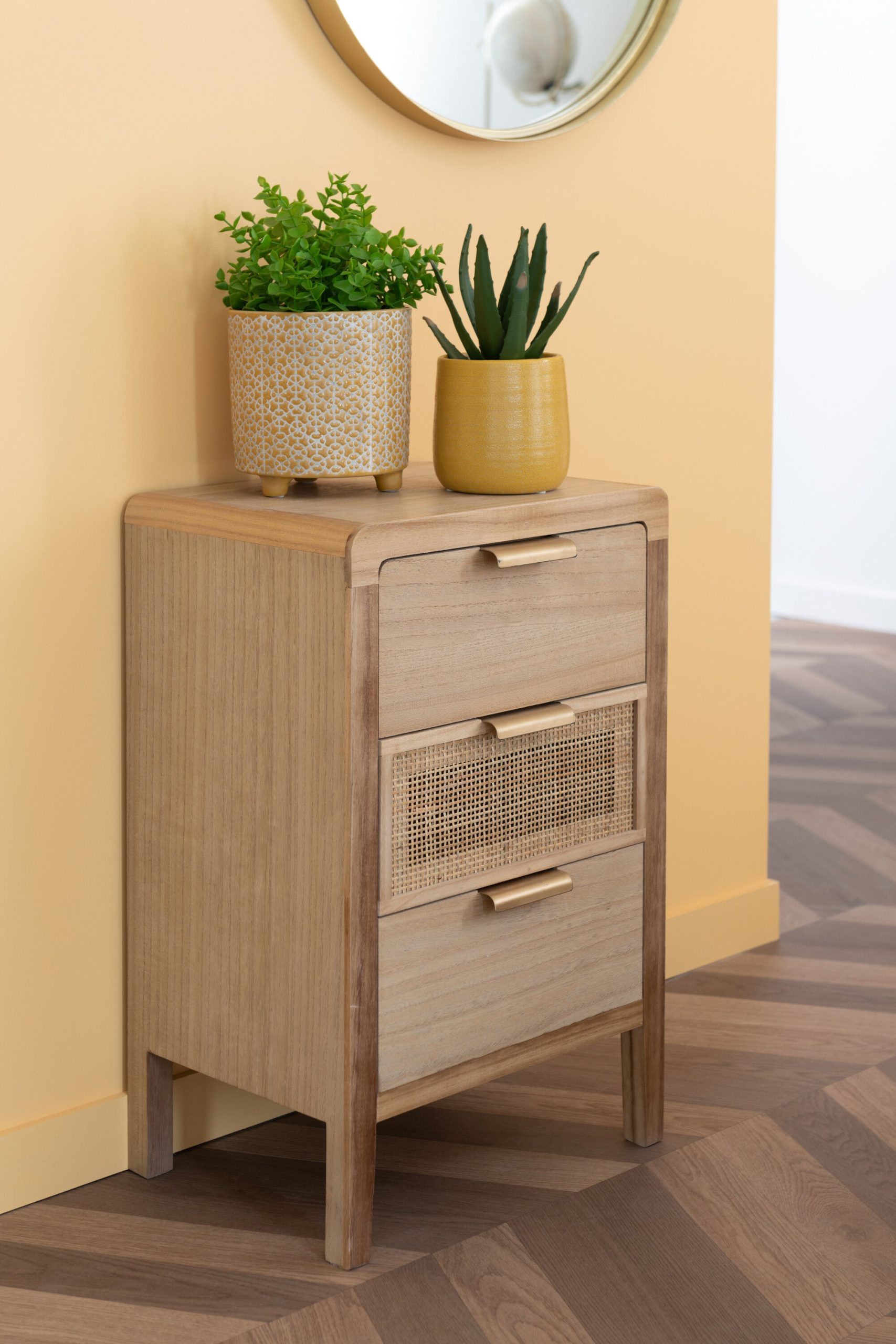 J-Line vetplant/Aloe Vera/Lotus + Pot - kunststof - groen/melamine - s