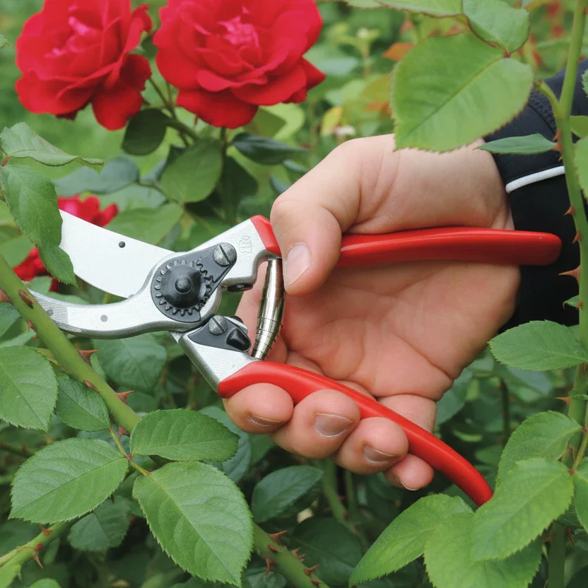Professionele snoeischaar Felco Maat L (2)