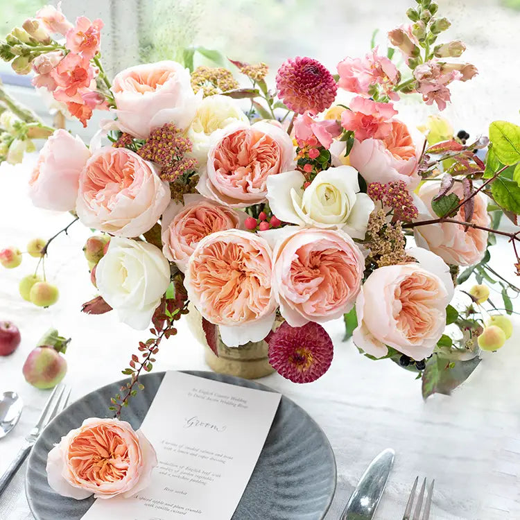 David Austin Juliet  (12stuks)